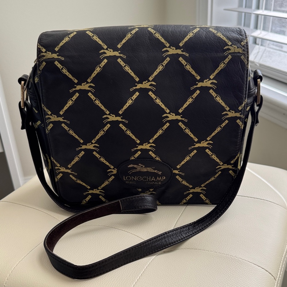 Longchamp Crossbody Dark Brown Leather Bag